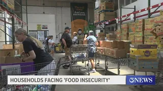 USDA report says 17 million households facing food insecurity - is inflation the cause?