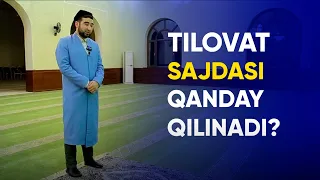 Tilovat sajdasi qanday qilinadi? | Ahrorjon Abdulvohid | #tilovat #sajda #namoz