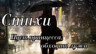 Стихи "Идет принцесса, обходит лужи" Читает: Городинец Сергей