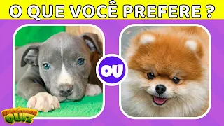 O QUE VOCÊ PREFERE? PITBULL OU SPITZ ALEMÃO? Jogo das Escolhas -   Edição Cachorros