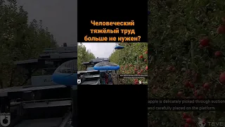 Человеческий тяжёлый труд больше не нужен?