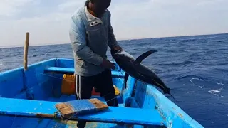 How To Catching Tuna Fish Professionally #Amazing Fishing Video for handline fishing