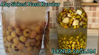 Alıç Sirkesi Nasıl Kurulur/ Alıç Sirkesi Kurulumu💯Evde Alıç Sirkesi