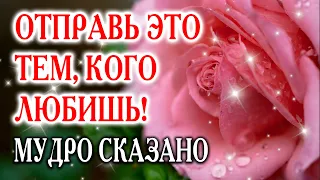 🔴ОЧЕНЬ МУДРО СКАЗАНО! СТИХ "ВЕРА БЕЗ ДЕЛ..." С ДОБРЫМ УТРОМ! ДОБРОЕ УТРО И ХОРОШЕГО ДНЯ!