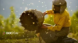 Honeyland | Official Trailer | DocPlay