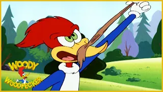 Woody Woodpecker Show | Woodsy Woody | Full Episode | Cartoons For Children