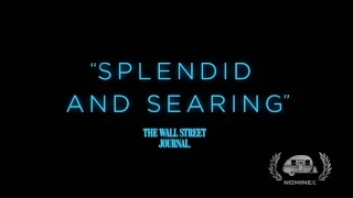 Moonlight “Timeless” Nominee Best Music TV Spot (For A Feature Film) GTA18 (2017)