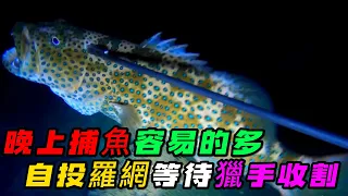 漁民晚上捕魚比白天容易的多，魚兒像傻了一樣，全都自投羅網，等待獵手收割《活在當下》