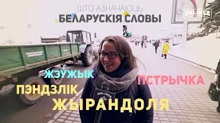 Мінчане спрабуюць растлумачыць беларускія словы / минчане объясняют белорусские слова