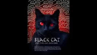 BLACK CAT - Böse Augen Blutige Morde ( Horror Thriller ganzer Film 2004 )