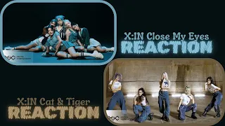 Ameri-CANs React | X:IN 'Close My Eyes' & 'Cat And Tiger'