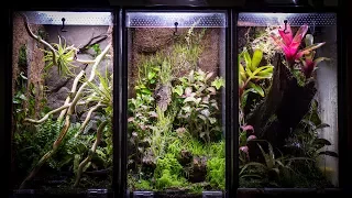 Aquarium to 10 Gallon Vertical Vivarium