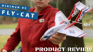 Minimum RC FlyCat Review