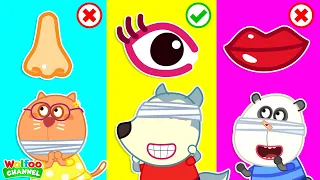 Auch! Where is My Eyes, Ears, Mouth and Nose! | Eductional Video for Kids