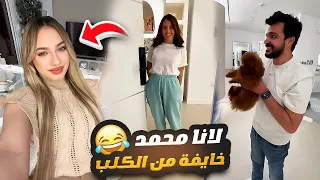 تحدي زياد والكلب 🐶 لانا محمد كتير خايفة 😱