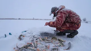 ЭТО СОН. ГОРА РЫБЫ С ОДНОЙ ЛУНКИ. Первый лед, завалило снегом. Зимняя рыбалка со льда на окуня.