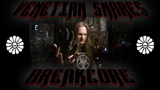 Artist Series  - Venetian Snares and Breakcore