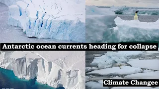 Antarctic ocean currents heading for collapse  report