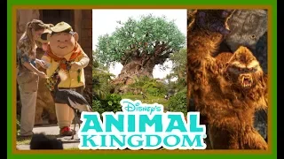 BEST and WORST Attractions at Disney's Animal Kingdom! |Stix Top 6| Walt Disney World