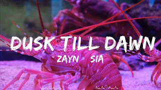 ZAYN & Sia - Dusk Till Dawn  || Soren Music