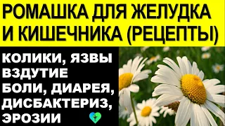 Ромашка для Желудка и Кишечника. Как пить (рецепты и методики лечения)