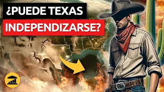 ¿Por qué TEXAS le ha declarado la GUERRA a WASHINGTON? - VisualPolitik