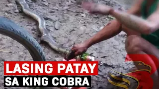 Magsasaka patay matapos tinuklaw ng king cobra – Brigada Davao