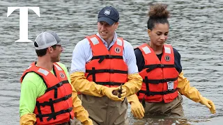 Prince William wades in New York harbour for oyster project