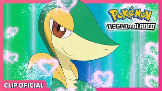 ¡Snivy usa Atracción! | Pokémon Negro y Blanco | Clip oficial