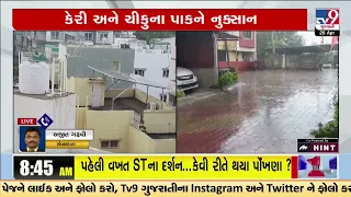 Mango & Chickoo crop damaged due to unseasonal rain in Navsari & Bhavnagar | Gujarat Weather