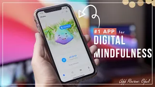 How I Focus More and Save Time with Opal: Best Digital Mindfulness App