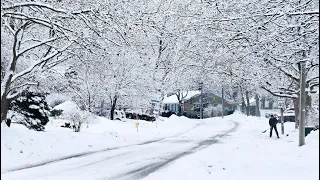 Walk in Snow Storm, Toronto