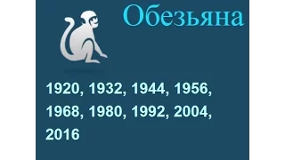 Год обезьяны, гороскоп составленный психологом Натальей Кучеренко.