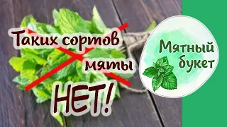 Таких сортов мяты НЕТ!