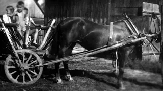 KOŃ w ZAPRZĘGU i DZIECI 1960 rok