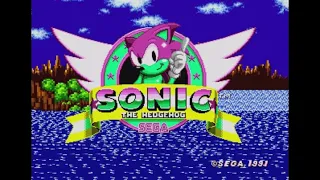 Sonic Hack Longplay - Sonic 1 Mixed-Up Edition