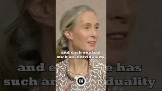 Jane Goodall's Witty Insights: Comparing Chimpanzees and Humans