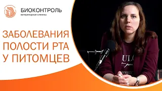 😸 Стоматолог о заболеваниях полости рта у собак и кошек. Стоматология собак и кошек. 12+