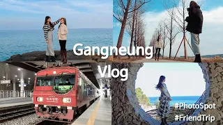 [ENG/KOR] Top 5 Places to visit in GANGNEUNG CITY │Vlog