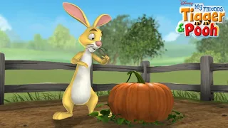 My Friends Tigger and Pooh S01E17 Rabbit's Prized Pumpkin