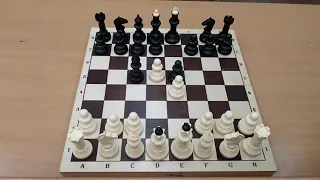 Шахматы. Играйте как гроссмейстер. To Win Chess. Para ganar ajedrez.