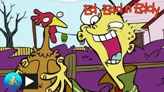 Ed Edd n Eddy | Ed Looks After Rolf's Animals | Cartoon Network