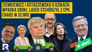 Hity w sieci | Ziemkiewicz i Ostaszewska o dzikach.Odlot Kidawy.Lasek stchórzył z CPK Chaos w Sejmie