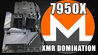 Ryzen's 7950x  XMR Hashrates | ZEPHYR Hashrate