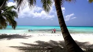 Свадьба в Доминикане / видео в Доминикане / Wedding in the Dominican Republic