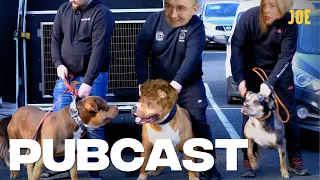 XL Bully owners take over Westminster, and armed Met officers surrender their weapons | Pubcast #22