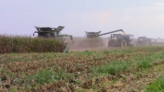 2,800 Acre Corn Field Question and Answer Video