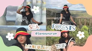Sea Forests in Sen Monorom, Mondulkiri | Cambodia 🇰🇭