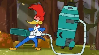 La chasse aux œufs de Pâques | Woody Woodpecker | WildBrain en Francais