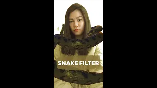 Snake Filter
